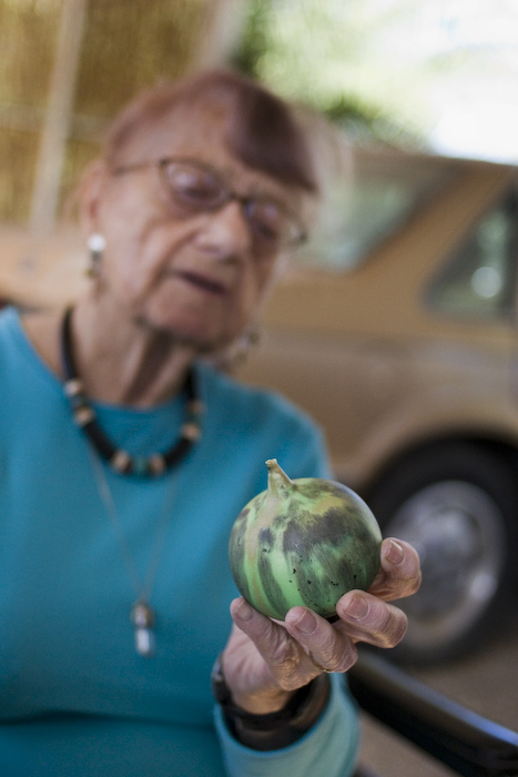 Jackie Alpers photographed environmental portraits of southern Arizona artists for Phoenix Home & Garden Magazine for many years. Here are a few favorites: