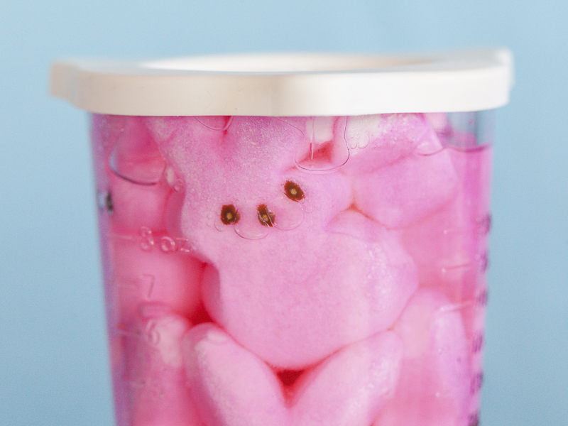 Infuse vodka or rum with Peeps. How to. Food Photography, Ideas and Recipes By Jackie Alpers for Food Network.